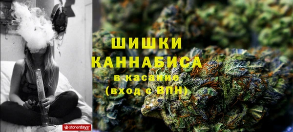 Альфа ПВП Володарск