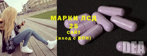 ГАЛЛЮЦИНОГЕННЫЕ ГРИБЫ Рославль