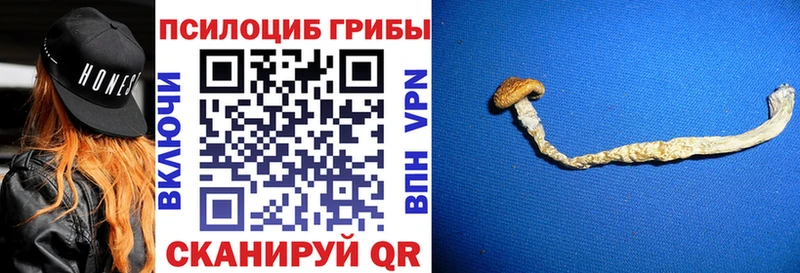 даркнет сайт Ишимбай Галлюциногенные грибы Psilocybe